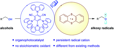 Graphical abstract: Photoredox/persistent radical cation dual catalysis for alkoxy radical generation from alcohols