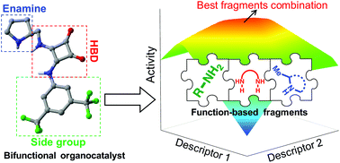 Graphical abstract: Harvesting the fragment-based nature of bifunctional organocatalysts to enhance their activity