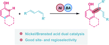 Graphical abstract: Nickel/Brønsted acid dual-catalyzed regioselective C–H bond allylation of phenols with 1,3-dienes