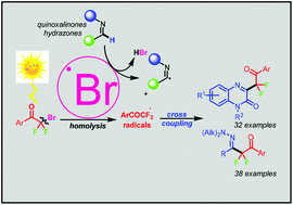 Graphical abstract: Bromine-radical-induced Csp2–H difluoroalkylation of quinoxalinones and hydrazones through visible-light-promoted Csp3–Br bond homolysis