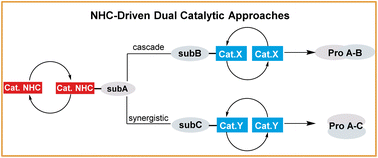 Graphical abstract: Recent developments on NHC-driven dual catalytic approaches