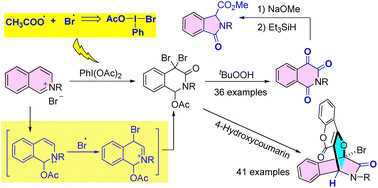 Graphical abstract: Switchable synthesis of 1,4-bridged dihydroisoquinoline-3-ones and isoquinoline-1,3,4-triones through radical oxidation of isoquinolinium salts with phenyliodine(iii) diacetate