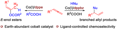 Graphical abstract: Cobalt-catalyzed regiodivergent hydrofunctionalization of allenes
