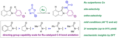 Graphical abstract: Precise control of the site selectivity in ruthenium-catalyzed C–H bond amidations using cyclic amides as powerful directing groups