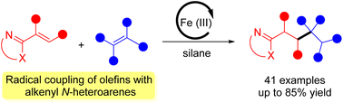 Graphical abstract: Iron-catalyzed radical intermolecular addition of unactivated alkenes to alkenyl N-heteroarenes