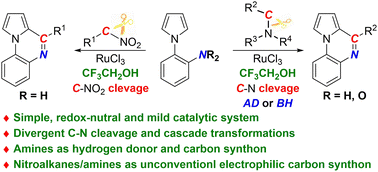 Graphical abstract: Ruthenium-catalyzed divergent deaminative and denitrative C–N cleavages: facile access to quinoxalines