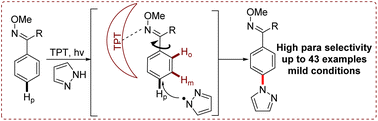 Graphical abstract: An organic photoredox catalyst promoted para-selective C–H amination of aryl oximes