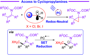 Graphical abstract: Cyclopropanation of N-vinylimides via a redox-neutral photocatalysed radical addition/anionic cyclisation process