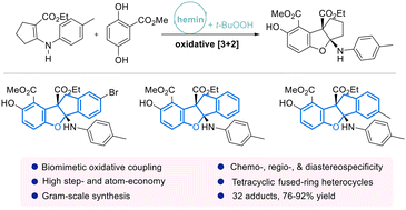 Graphical abstract: Synthesis of cyclopenta[b]benzofurans via biomimetic oxidative phenol–enamine [3 + 2] cycloaddition