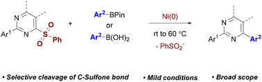 Graphical abstract: Synthesis of 2,4-diarylated pyrimidines enabled by Ni-catalyzed C–sulfone bond activation
