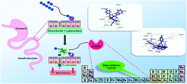 Graphical abstract: A review on α-glucosidase inhibitory activity of first row transition metal complexes: a futuristic strategy for treatment of type 2 diabetes