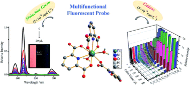 Graphical abstract: Fluorescence detection of malachite green and cations (Cr3+, Fe3+ and Cu2+) by a europium-based coordination polymer