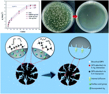 Graphical abstract: Nano-silver functionalized spherical activated carbon with enhanced dipropyl sulfide adsorption capacity and antibacterial properties