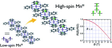 Graphical abstract: A large negative magnetoresistance effect in semiconducting crystals composed of an octahedrally ligated phthalocyanine complex with high-spin manganese(iii)