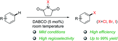 Graphical abstract: DABCO as a practical catalyst for aromatic halogenation with N-halosuccinimides