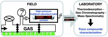 Graphical abstract: Novel field-portable high-pressure adsorbent tube sampler prototype for the direct in situ preconcentration of trace compounds in gases at their working pressures: application to biomethane