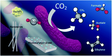 Graphical abstract: Biocatalytic conversion of sunlight and carbon dioxide to solar fuels and chemicals