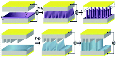 Graphical abstract: Pattern formation in thin polymeric films via electrohydrodynamic patterning