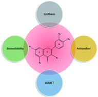 Graphical abstract: Synthesis, biological and computational studies of flavonoid acetamide derivatives