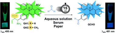 Graphical abstract: Quinolizinium-based fluorescent probes for formaldehyde detection in aqueous solution, serum, and test strip via 2-aza-Cope rearrangement