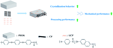 Graphical abstract: Effects of liquid crystal polymer (LCP) on the structure and performance of PEEK/CF composites