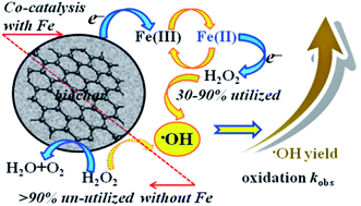 Graphical abstract: Co-catalysis of trace dissolved Fe(iii) with biochar in hydrogen peroxide activation for enhanced oxidation of pollutants