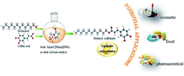 Graphical abstract: Lipophilic antioxidant dodecyl caffeate preparation by the esterification of caffeic acid with dodecanol using ionic liquid [Hnmp]HSO4 as a catalyst