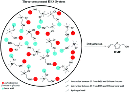 Graphical abstract: Conversion of bio-carbohydrates to 5-hydroxymethylfurfural in three-component deep eutectic solvent