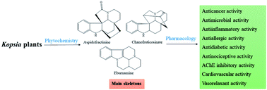 Graphical abstract: A comprehensive review on phytochemistry and pharmacology of genus Kopsia: monoterpene alkaloids – major secondary metabolites