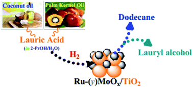Graphical abstract: Selective hydroconversion of coconut oil-derived lauric acid to alcohol and aliphatic alkane over MoOx-modified Ru catalysts under mild conditions