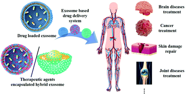 Graphical abstract: Exosome-based drug delivery systems and their therapeutic applications