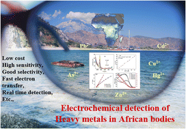 Graphical abstract: Electrochemical detection of selected heavy metals in water: a case study of African experiences