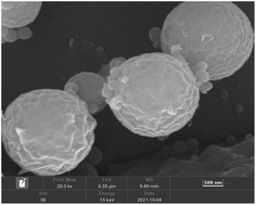 Graphical abstract: Preparation and performance of chlorfenapyr microcapsules with a degradable polylactide-based polyurethane wall material