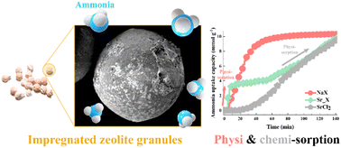 Graphical abstract: Calcium/strontium chloride impregnated zeolite A and X granules as optimized ammonia sorbents