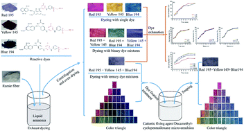 Graphical abstract: Sustainable dyeing of ramie fiber with ternary reactive dye mixtures in liquid ammonia