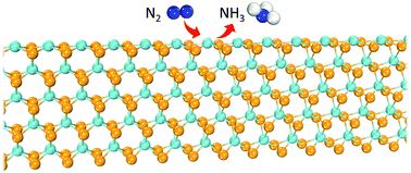 Graphical abstract: Improved nitrogen reduction activity of NbSe2 tuned by edge chirality