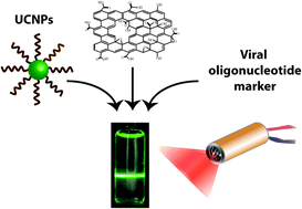 Graphical abstract: A SARS-Cov-2 sensor based on upconversion nanoparticles and graphene oxide