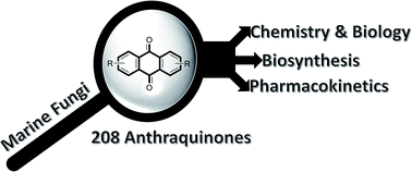 Graphical abstract: Chemical diversity, medicinal potentialities, biosynthesis, and pharmacokinetics of anthraquinones and their congeners derived from marine fungi: a comprehensive update