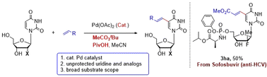Graphical abstract: Palladium-catalyzed C–H olefination of uridine, deoxyuridine, uridine monophosphate and uridine analogues