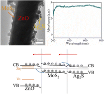 Graphical abstract: Band alignment of ZnO-based nanorod arrays for enhanced visible light photocatalytic performance