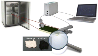 Graphical abstract: A resistive sensor for humidity detection based on cellulose/polyaniline