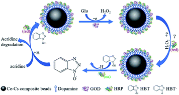Graphical abstract: Co-immobilized bienzyme of horseradish peroxidase and glucose oxidase on dopamine-modified cellulose–chitosan composite beads as a high-efficiency biocatalyst for degradation of acridine