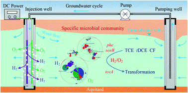 Graphical abstract: Response of chlorinated hydrocarbon transformation and microbial community structure in an aquifer to joint H2 and O2