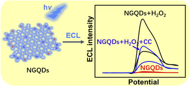 Graphical abstract: Facile synthesis of nitrogen-doped graphene quantum dots as nanocarbon emitters for sensitive detection of catechol