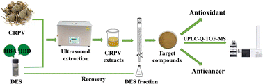 Graphical abstract: Extraction of flavonoids from Citri Reticulatae Pericarpium Viride using a deep eutectic solvent