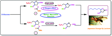 Graphical abstract: Study of the β-oxygen effect in the Barton–McCombie reaction for the total synthesis of (4R,5R)-4-hydroxy-γ-decalactone (Japanese orange fly lactone): a carbohydrate based approach