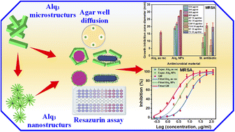 Graphical abstract: Antibacterial activity of the micro and nanostructures of the optical material tris(8-hydroxyquinoline)aluminum and its application as an antimicrobial coating