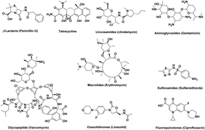 Graphical abstract: Antimicrobial potentials of natural products against multidrug resistance pathogens: a comprehensive review