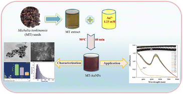 Graphical abstract: Highly sensitive and selective colorimetric detection of Pb(ii) ions using Michelia tonkinensis seed extract capped gold nanoparticles