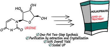 Graphical abstract: Concise two-step chemical synthesis of molnupiravir